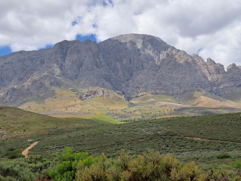 0 Bedroom Property for Sale in Wolseley Western Cape